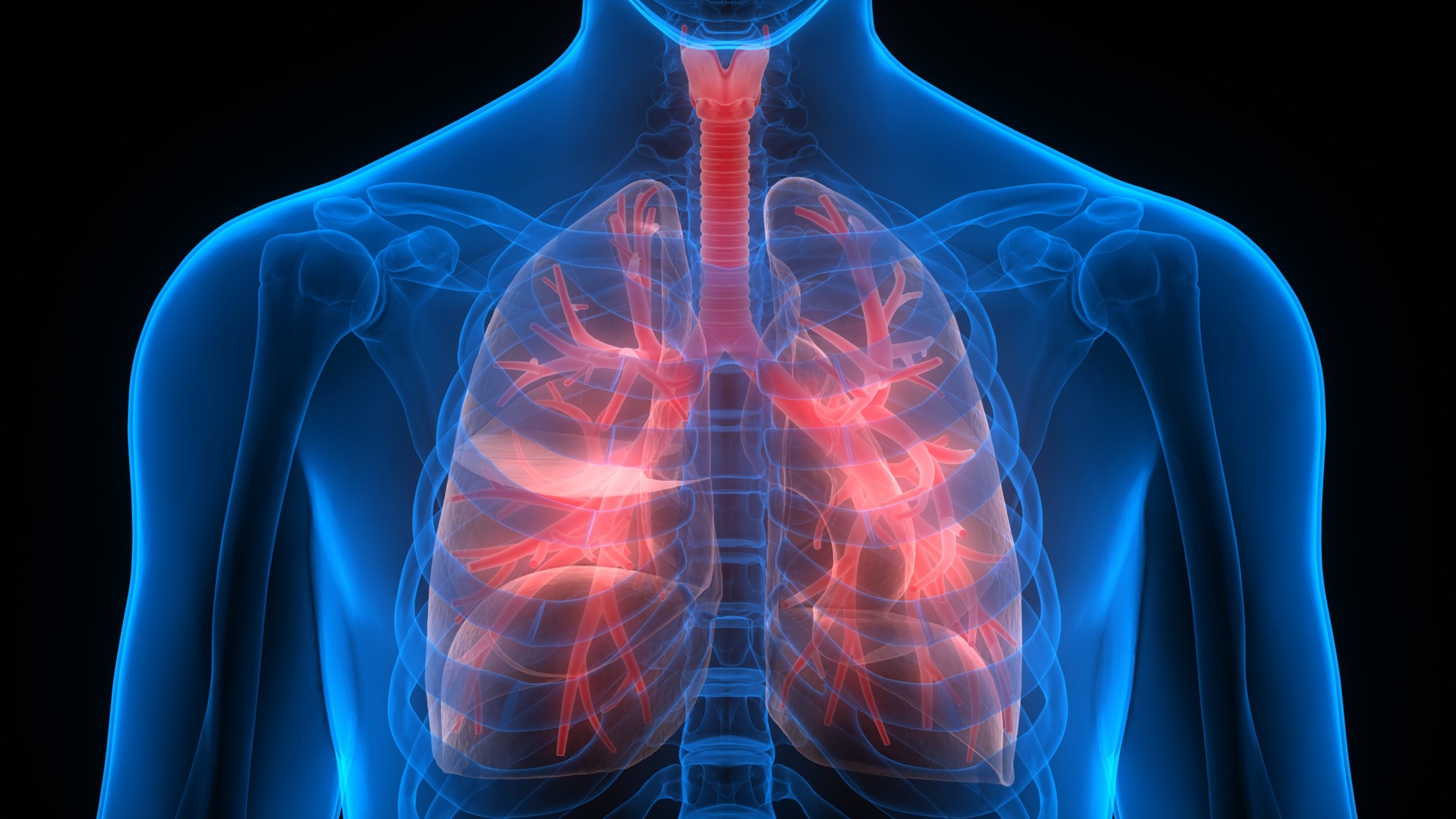 Newly developed nanoparticles help fight lung cancer in animal model