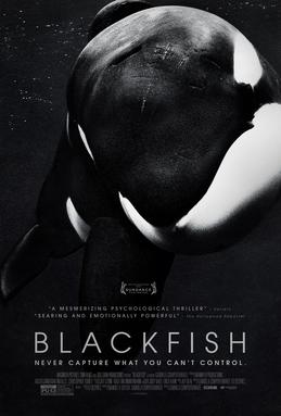 BLACKFISH_Film_Poster.jpg