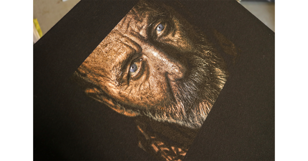 Elder Man design printed with premium screen printing ink.
