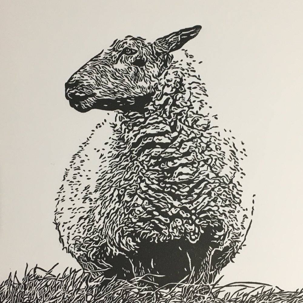 The Majestic Sheep Print — Laughing Mule Press
