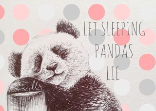 Biro sketch drawing illustration panda sleeping