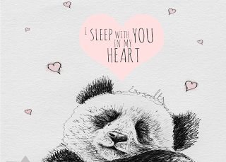 Biro sketch drawing illustration panda sleeping heart