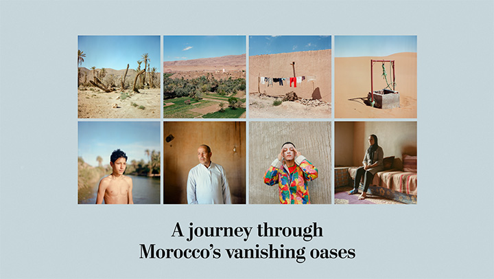 morocco-oasis