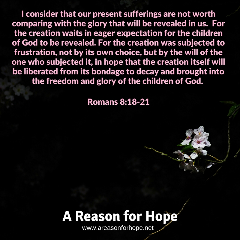 Spiksplinternieuw Romans 8:18-21 — A Reason for Hope with Don Patterson KM-43