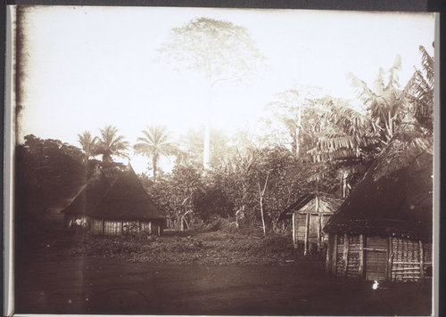 Village in the area of the Bakossi tribe, near Nyasoso in Cameroon, 1900. This village is likely a man with three wives.
