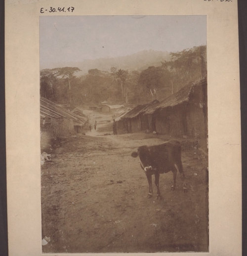 A village of the Barue tribe in Cameroon, 1896.