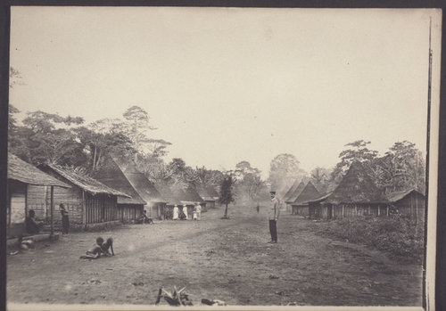 A village in Cameroon, 1895.