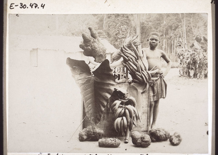 Fruits and root-vegetables in Cameroon, late 1890s.