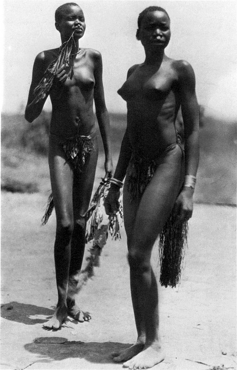 Dinka women in a Jur village near Rumbek (Sudan). From Hugo A. Bernatzik's book "Nil und Kongo" (1927).
