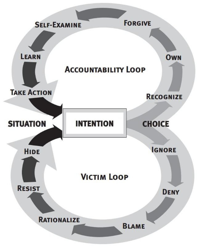 victim.accountability loop.jpg