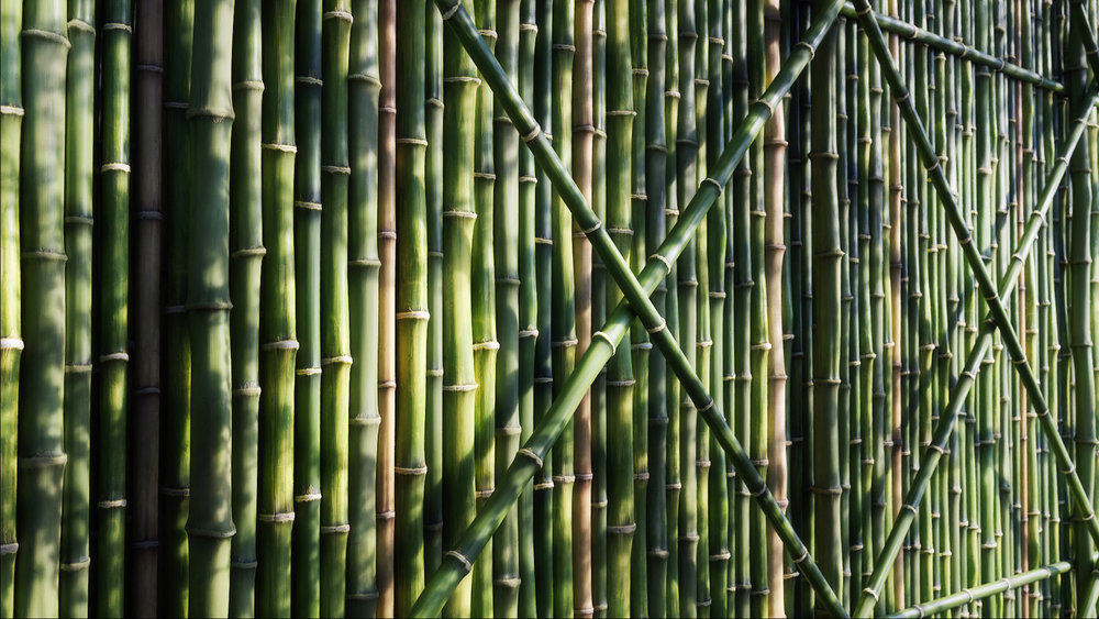 Bamboo Wall01.jpg