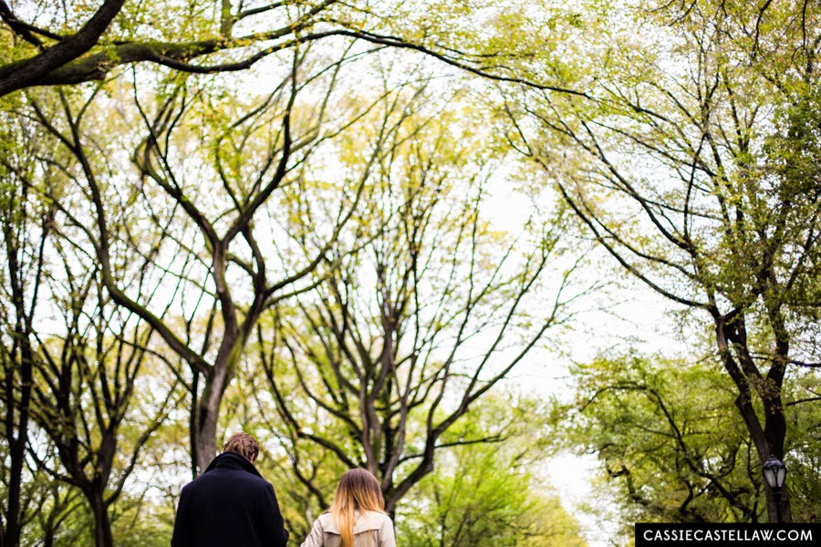 Surprise proposal in the fall under American Elm Trees at The Mall Central Park - www.cassiecastellaw.com