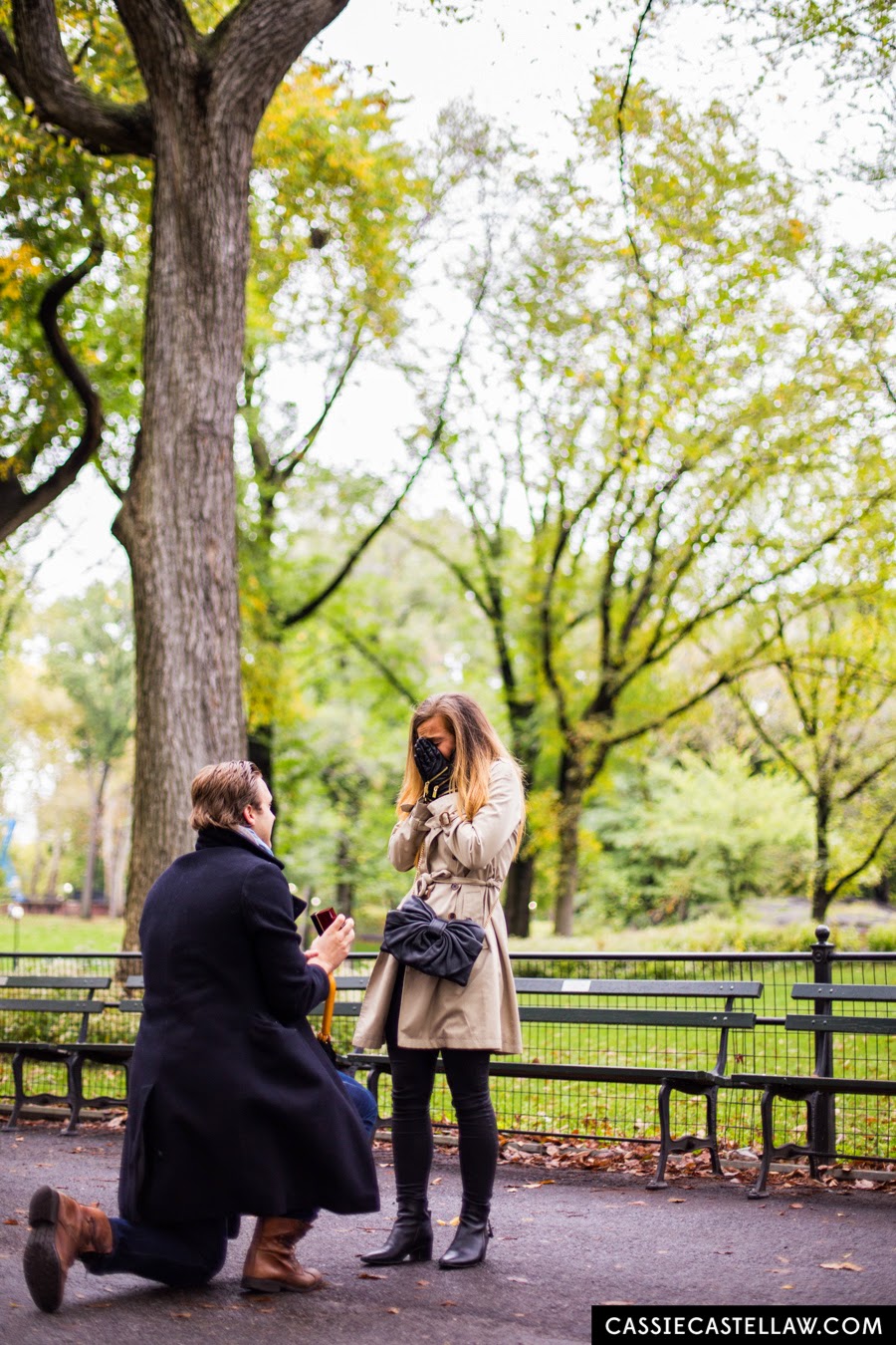 Romantic proposal in The Mall under American Elm trees in Fall, Central Park Lifestyle Engagement Portraits NYC - www.cassiecastellaw.com