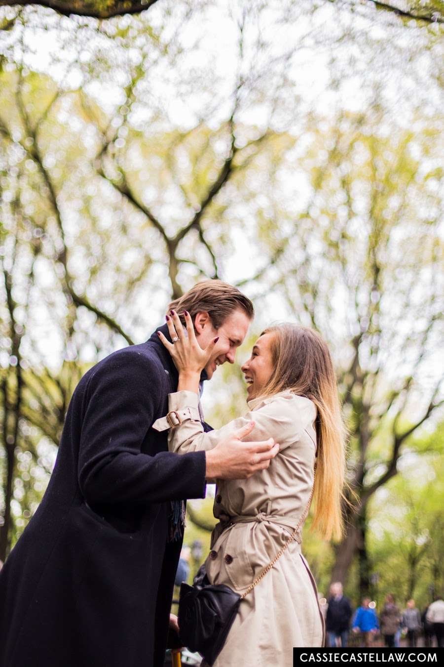 Newly Engaged, romantic destination proposal in Central Park under American Elm trees of The Mall - www.cassiecastellaw.com