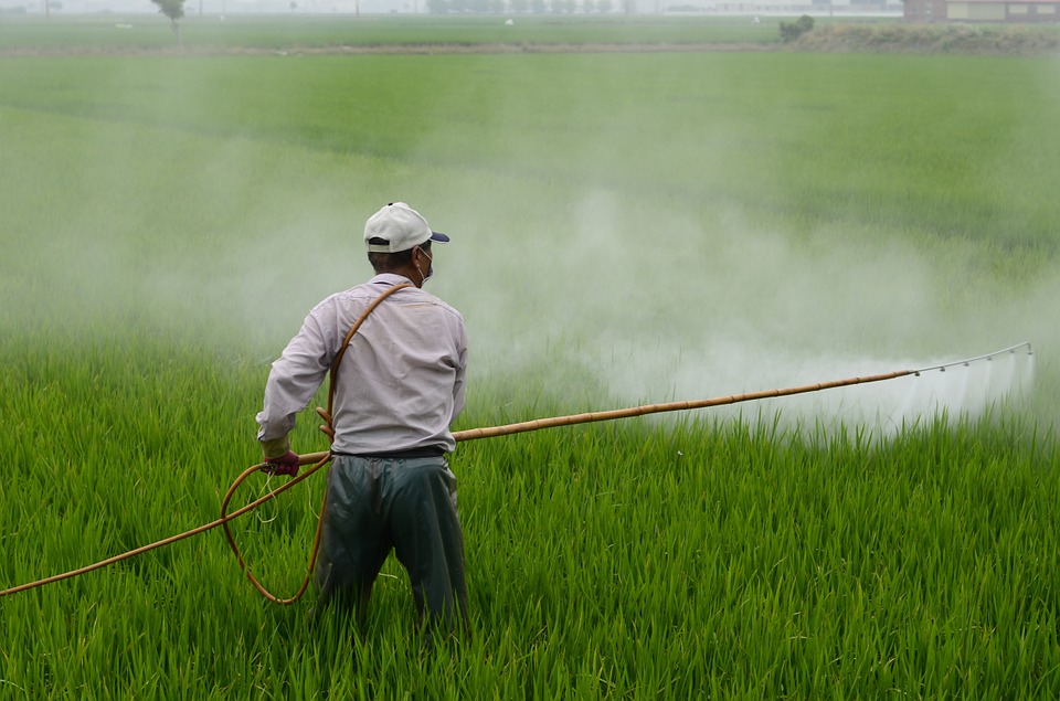 Pesticides and Water Pollution — Safe Drinking Water Foundation