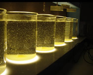 Coagulation jar test in a water treatment plant