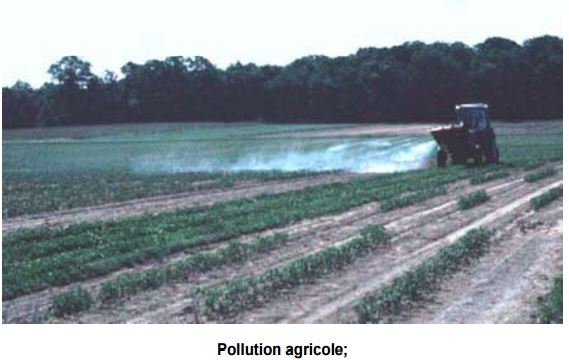 Pollution agricole