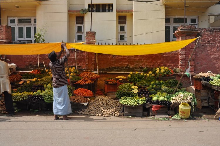 vegetable vendor in Varanasi.JPG