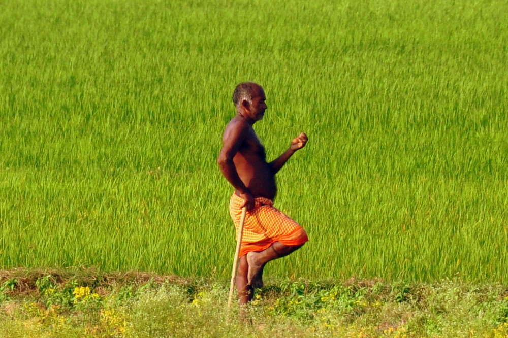 man working the fields near Bodhgaya.JPG