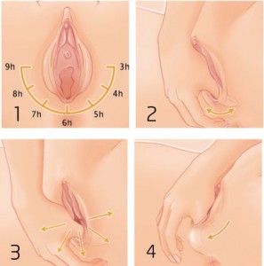 Afbeeldingsresultaat voor perineum massage