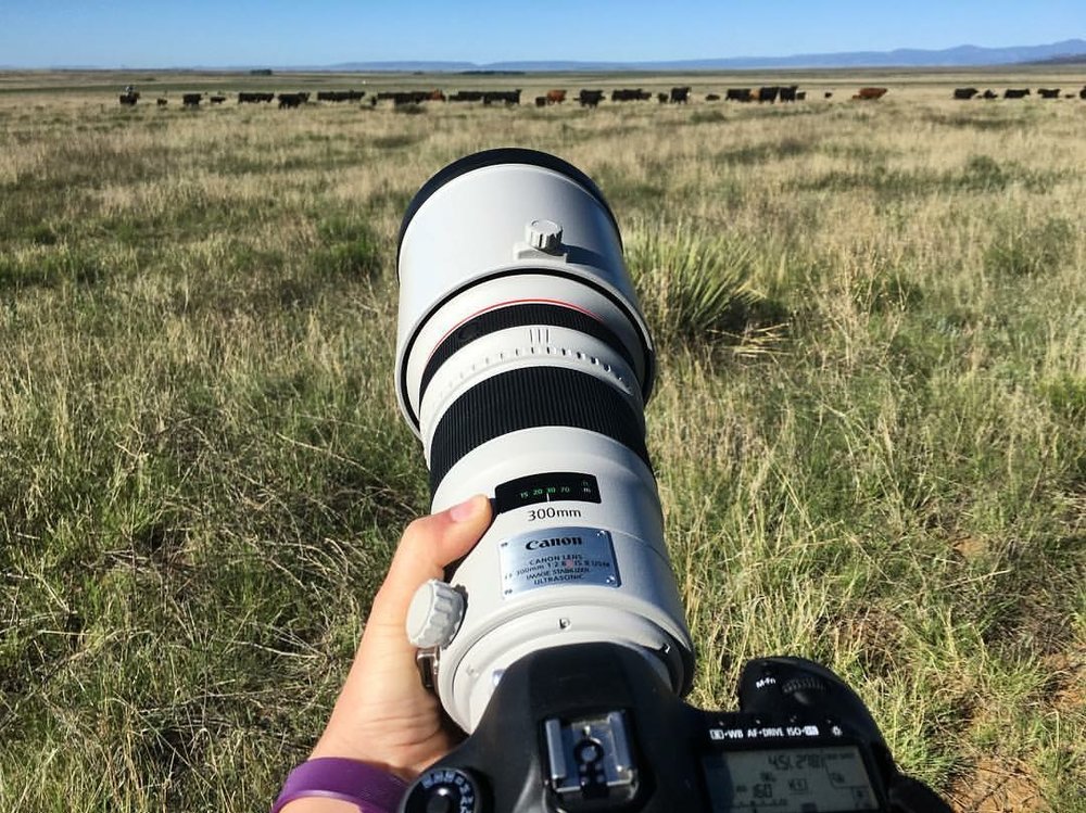 Abigail Boatwright's gear at work in New Mexico. 