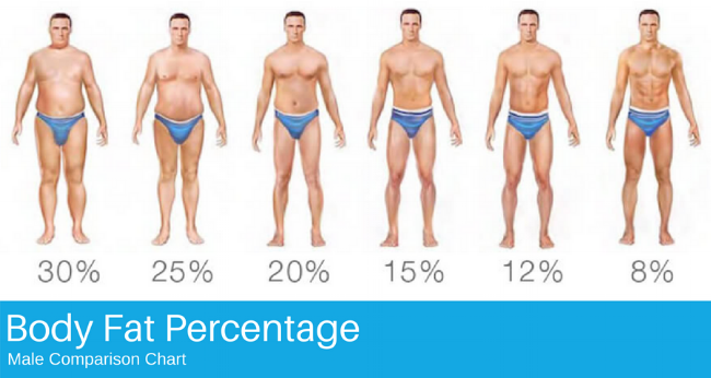 Body+Fat+Percentage.png