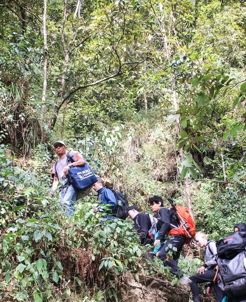 Trekking through the jungle like foliage of one of the many smaller mountains in Dhampus.