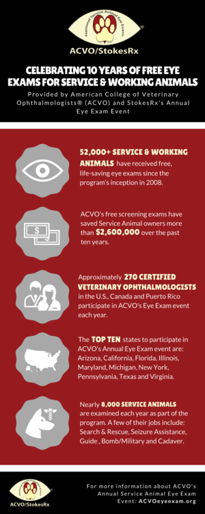 Image for ACVO Veterinary Eye Exams for Service Animals
