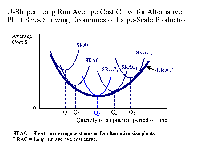 short run average cost curve definition