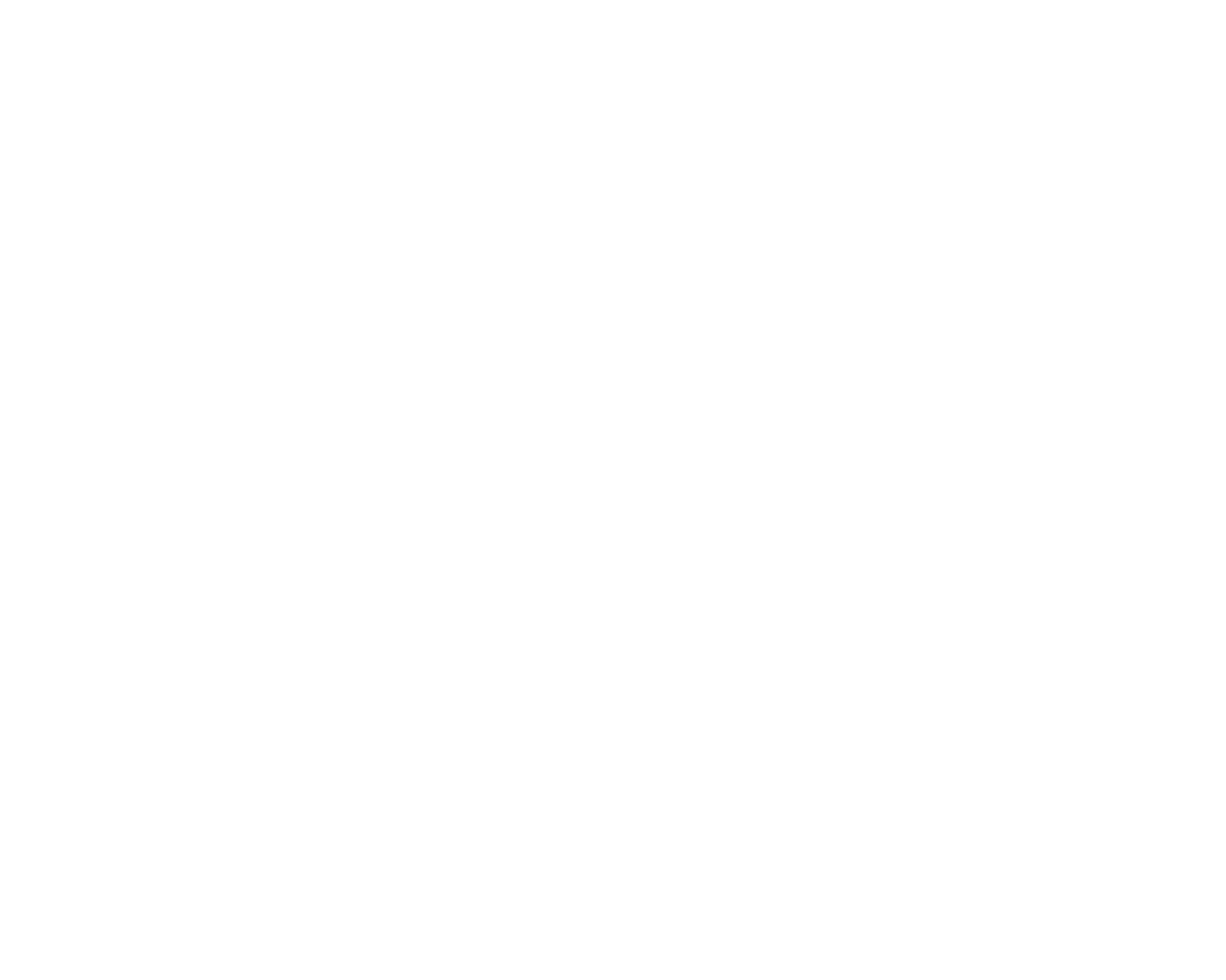 ChicknCone Franchise LLC