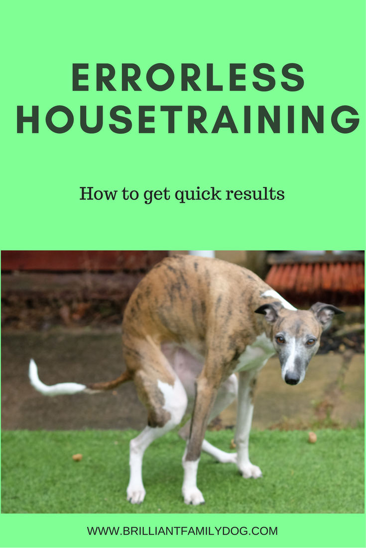 Housetraining your puppy the easy way