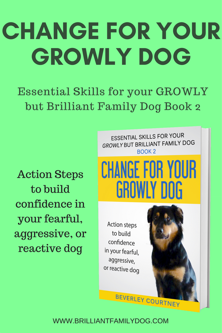Essential Skills for your GROWLY but Brilliant Family Dog - Book 2” /></div>



<div style=