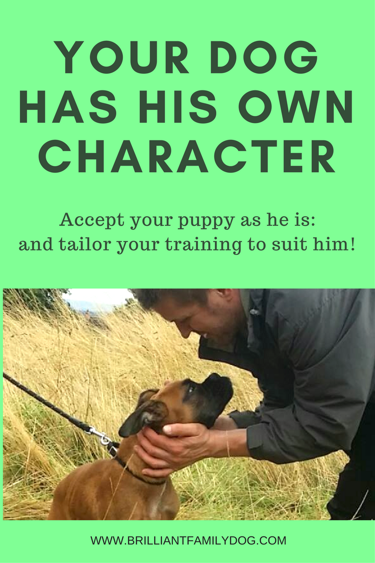 Your dog has his own character
