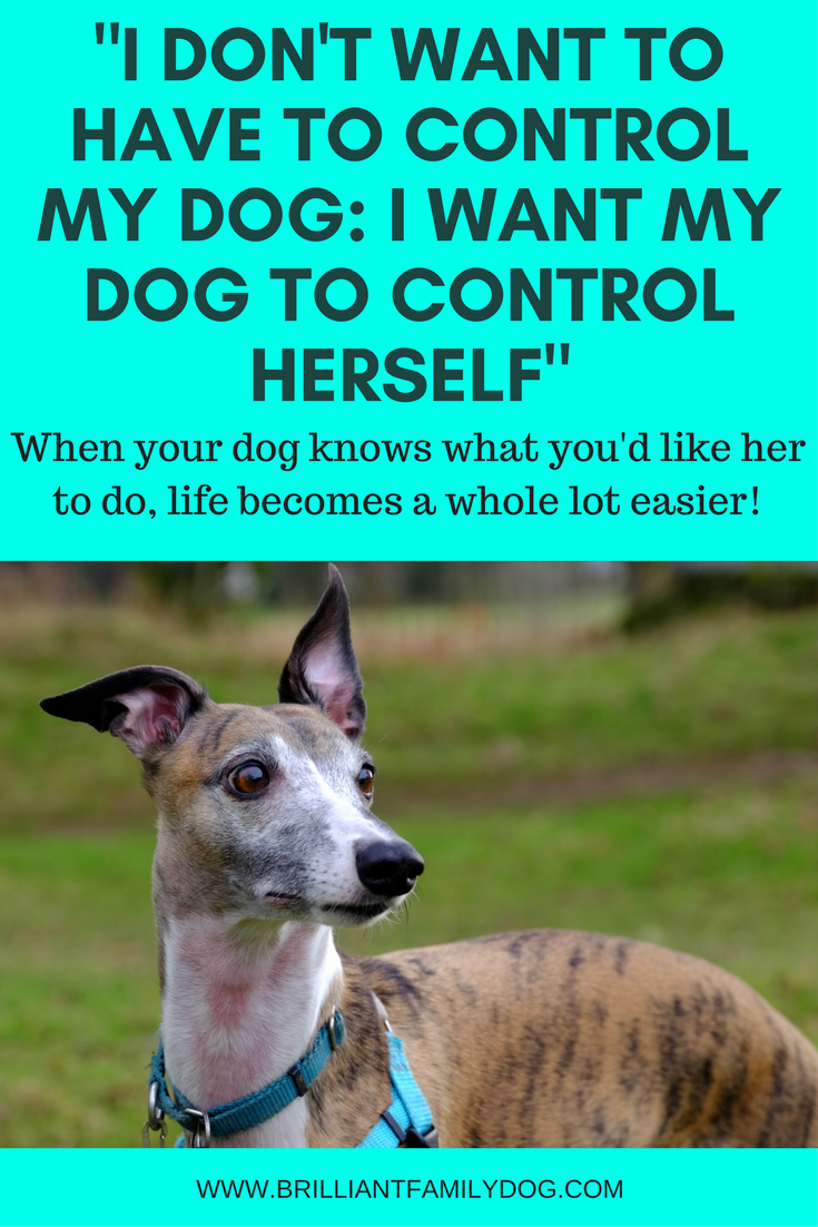 I don’t want to have to control my dog: I want my dog to control herself
