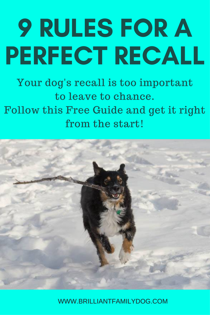 9 Rules for a Perfect Recall