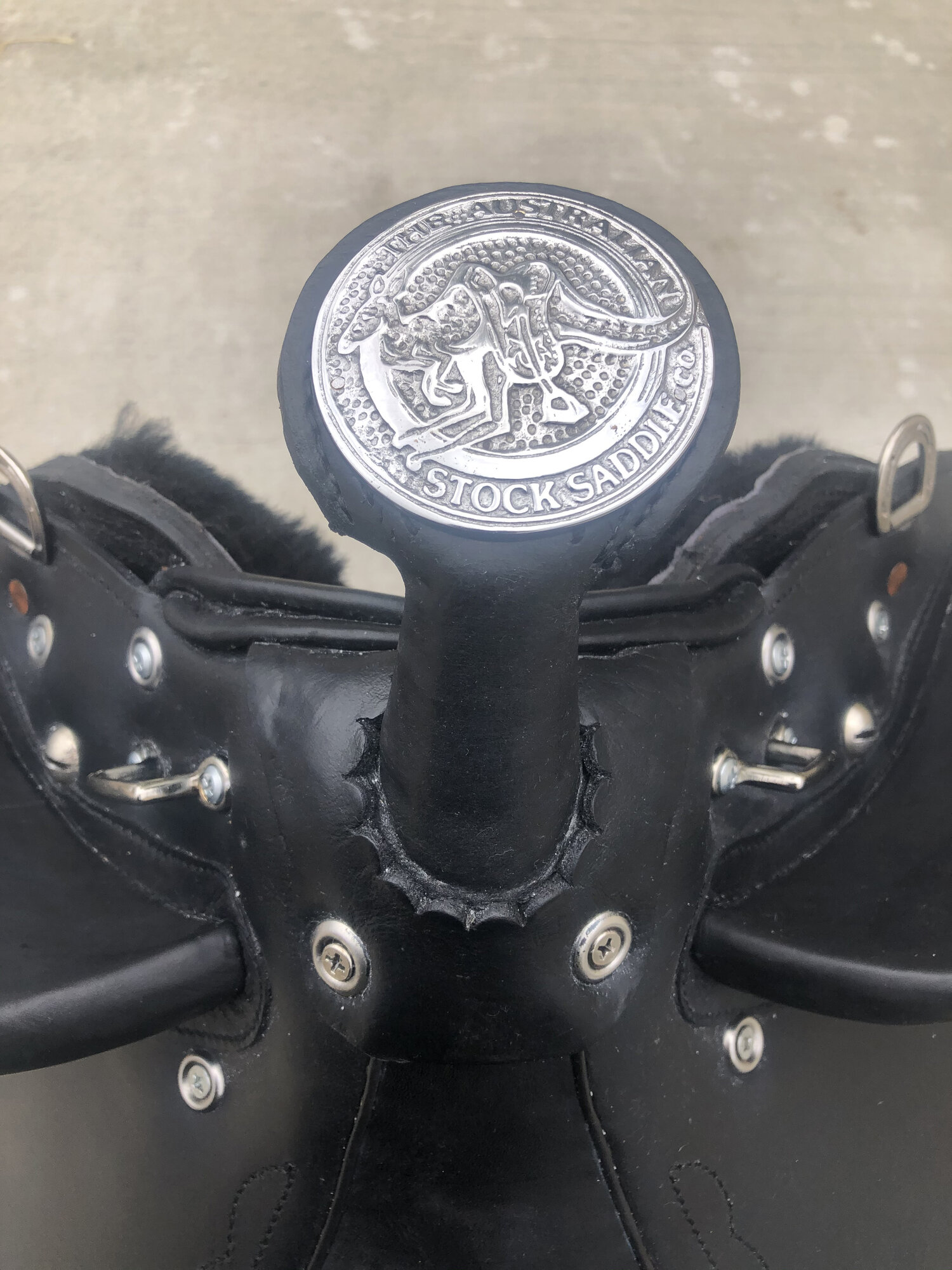 Silver Plated Logo Horn Cap — Colin Dangaard, Inc.