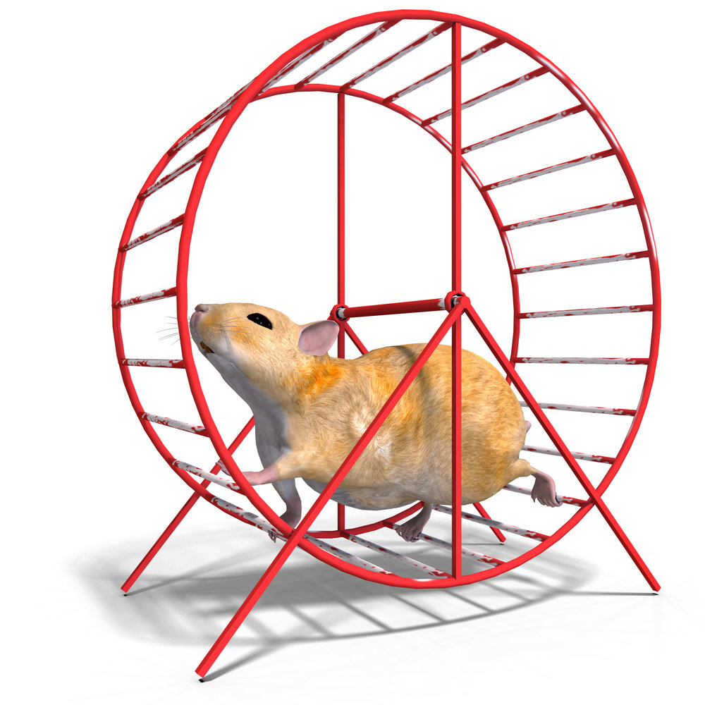 a Hamster Wheel