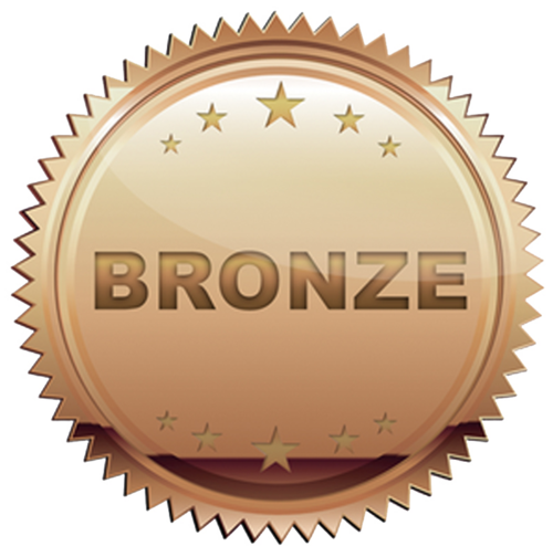 Image result for bronze icon