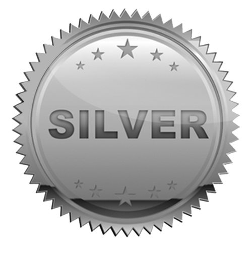 Image result for silver icon
