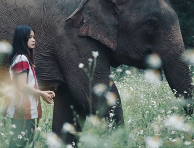 Karen Woman and elephant
