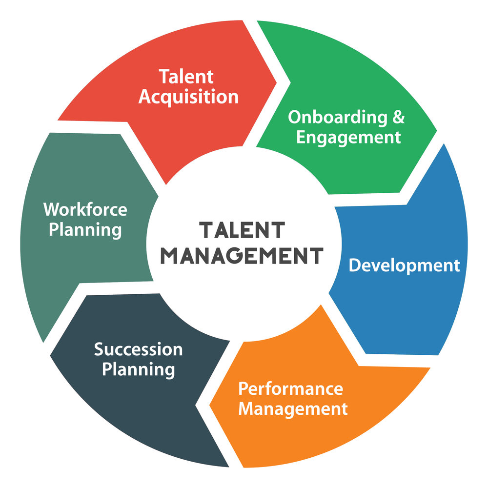 Talent management process