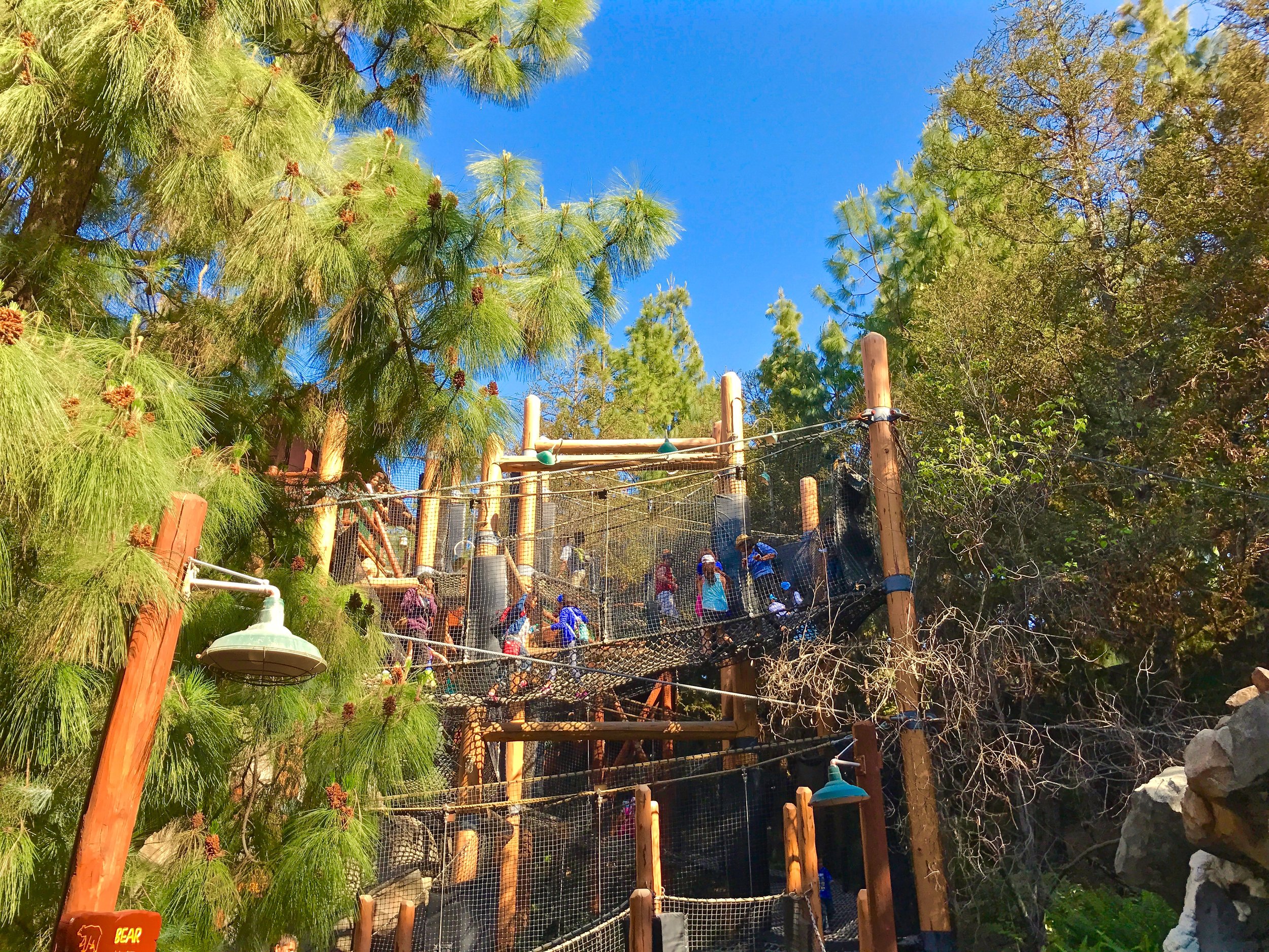 Redwood+Creek+Challenge+Trail+Disneyland.jpgRedwood+Creek+Challenge+Trail+Disneyland