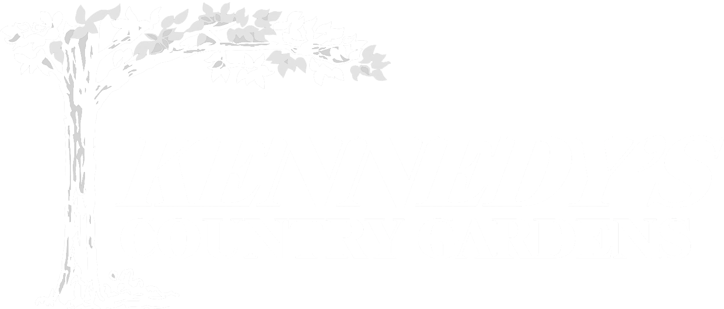 Kennedy Logo