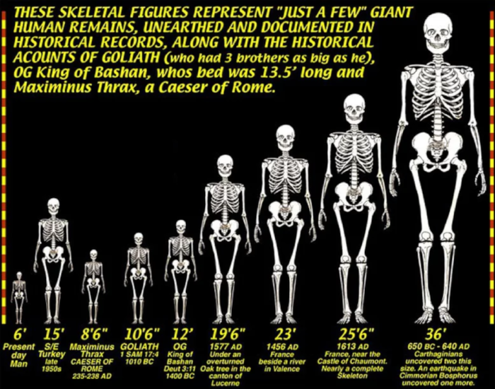 Comparing the sizes of giants from history and lore. 