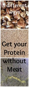 Get Protein without Meat