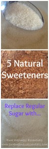 5 Natural Sweeteners