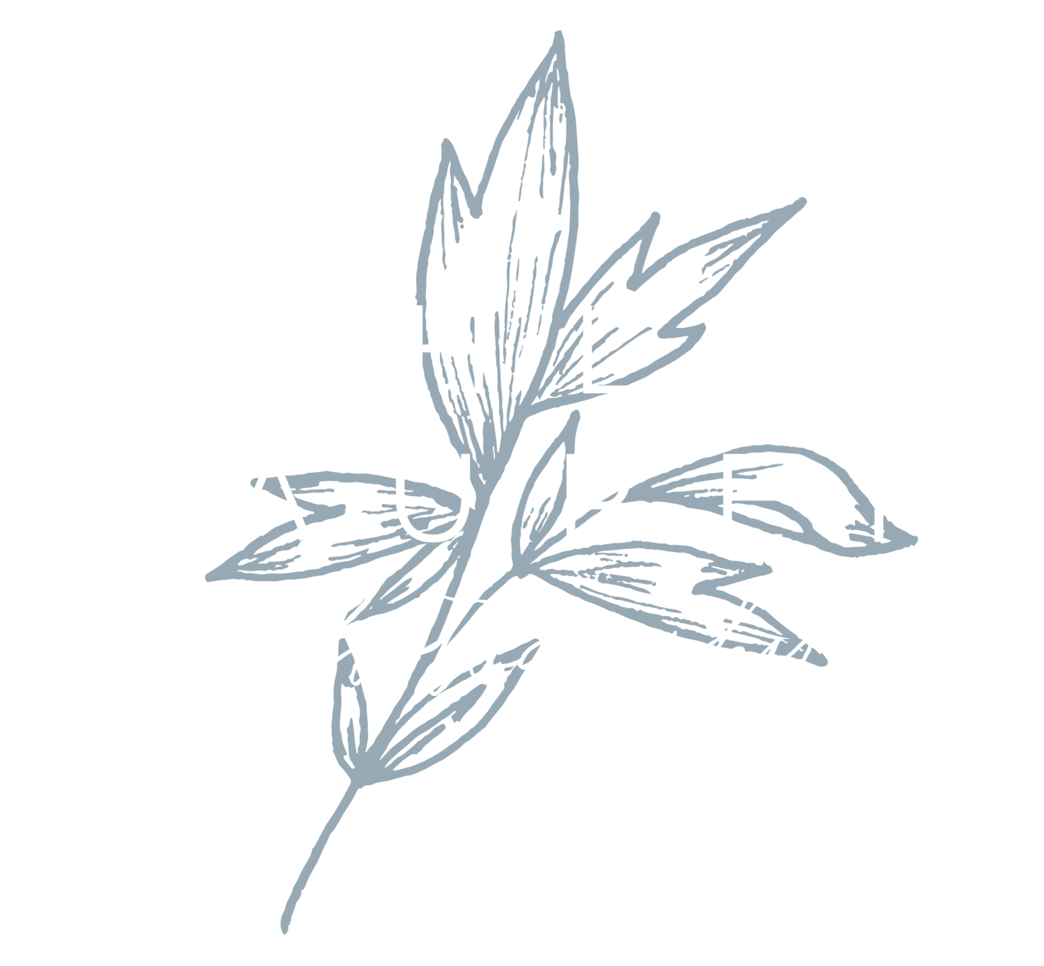 Baby Boy Blog Ashley Lauren Photography
