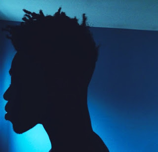 silhouette of a man with his hair twisted and blue background