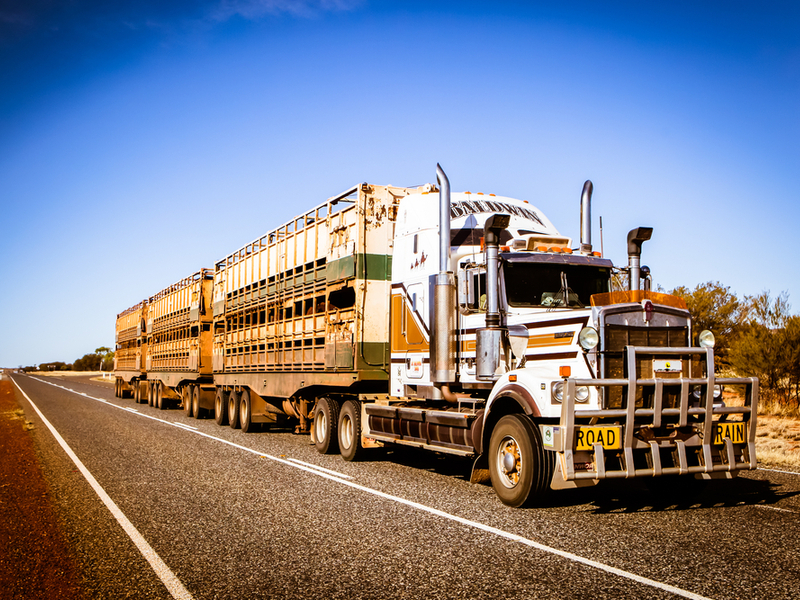 Big blue sky. Long empty road from nowhere to nowhere. Giant bull bar. Giant Truck. That can only mean one thing. Itâs time for Down Under Trucking . But who are the electric Aussies? Why are they invading the U.S.? And why were Aussie roads suddenly and unexpectedly awash with pig manure? You can find out more by reading onâ¦