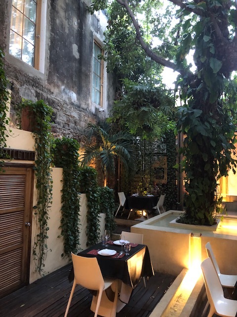Look at those pothos!!! Loved how lush this open air restaurant was!!